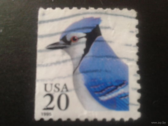 США 1995 стандарт, птица