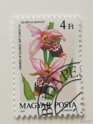 Венгрия 1987. Орхидеи