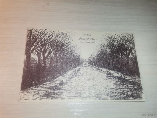 Гродно, почтовая карточка до 1917 года, размер 14*9 см., Алея Любви в Гродно, которая вела к усадьбе Станиславово.