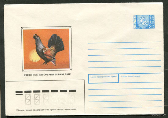 Глухарь. Березинский биосферный заповедник. ХМК. Беларусь. 1994