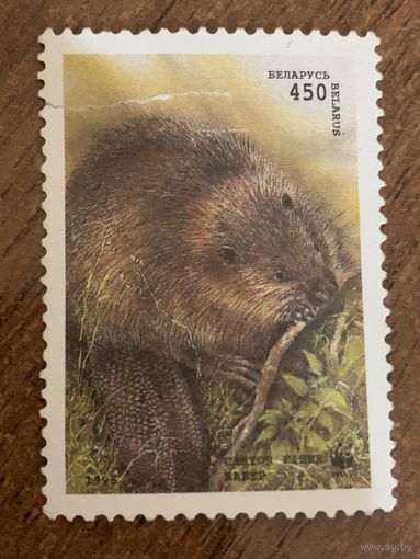 Беларусь 1995. Бобёр. Марка из серии