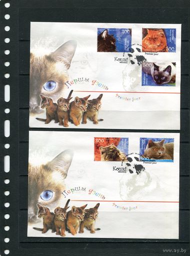 Беларусь 2004. КПД. Породы кошек. Комплект из 2 конвертов