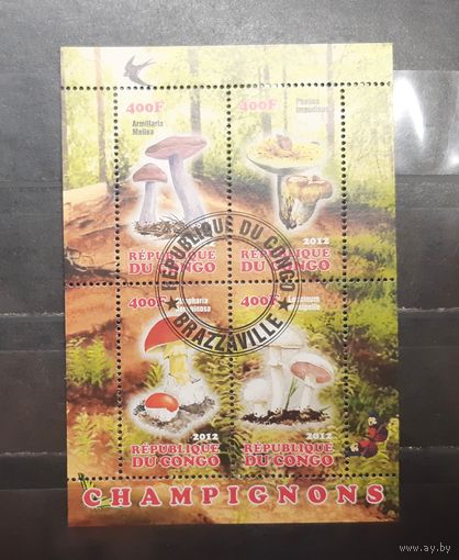 Конго. 2012 год. Флора. Грибы. Блок (1006)