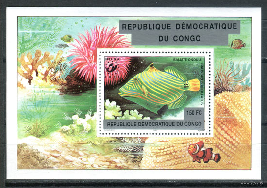 Конго (Заир) - 1980г. - Тропические рыбки - полная серия, MNH [Mi bl. 38] - 1 блок