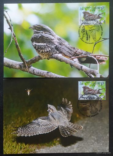 Беларусь 2021 КМ птица года, козодой обыкновенный, тираж 30 экз.