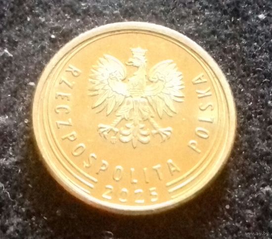 1 грош, Польша 2025 г.