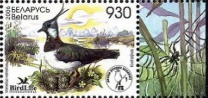 Беларусь 2006  Птица года. Чибис