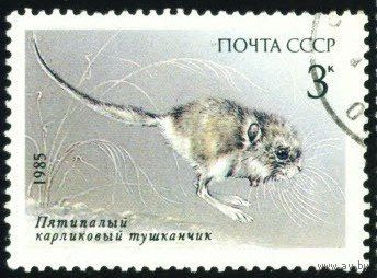 Животные "Красной Книги" СССР 1985 год 1 марка