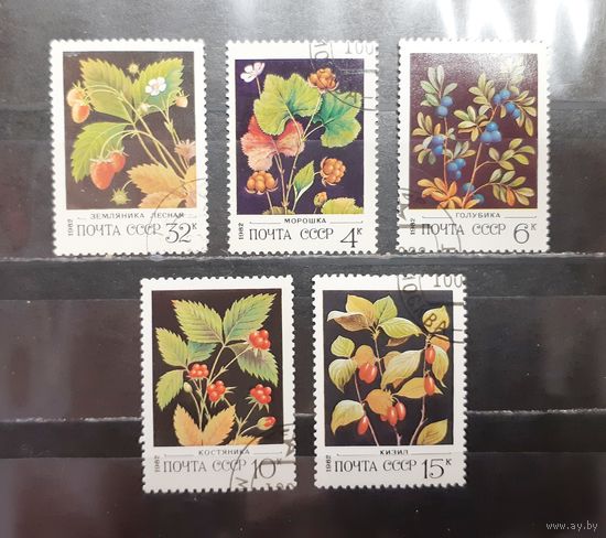 СССР. 1982 год. Флора. Ягоды (1585)