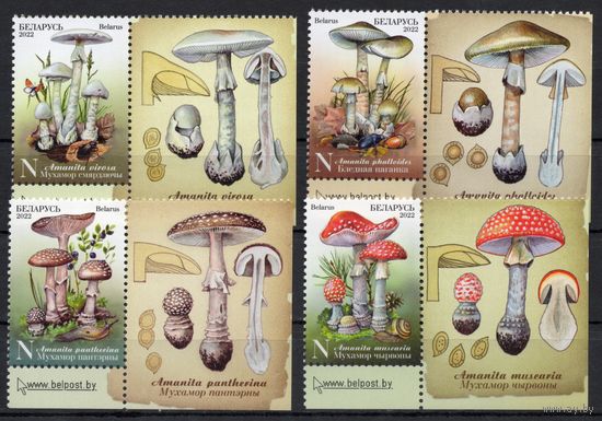 Беларусь 2022. Грибы 4марки+купоны (1199)