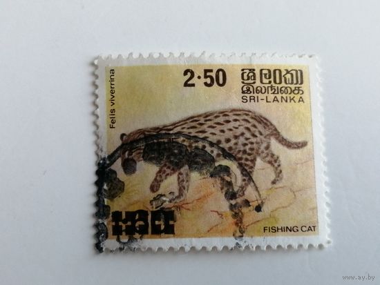Шри Ланка 1981. Животные