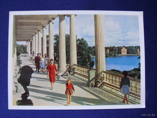 Пушкин. Екатерининский парк. Колоннада Камероновой галереи, Фото Р. Мазелева, 1964, чистая.