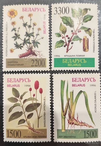 Беларусь 1996. Лекарственные растения. Полная серия