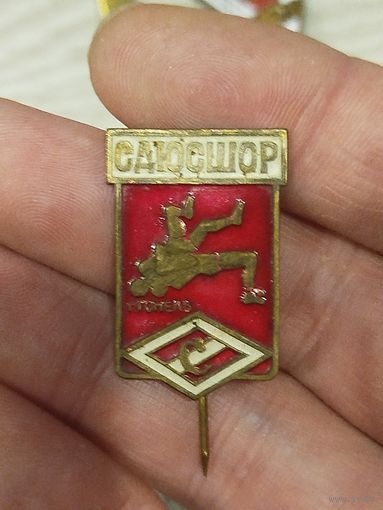 Редкий знак,Спартак Гомель