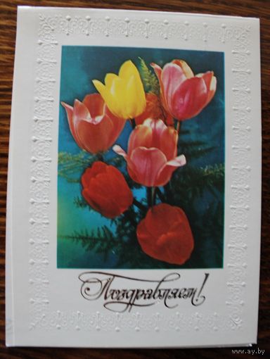 Поздравляем! Фото Г. Костенко. Двойная, подписана. 1983 год.