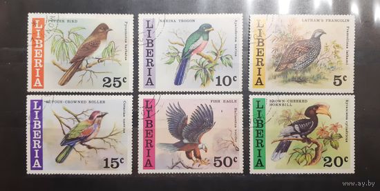 Либерия. Фауна. Птицы (371)
