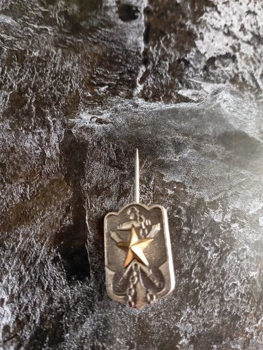 ЯПОНИЯ ( Знак резервиста 1936 год)