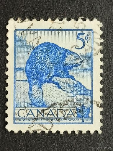 Канада 1954. Национальная неделя дикой природы. Бобр