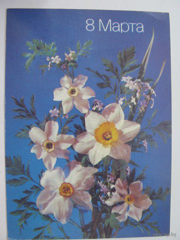 8 Марта   1988