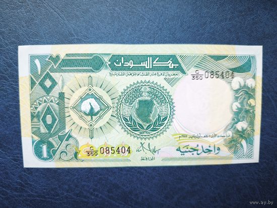 Судан 1 фунт 1987 год unc