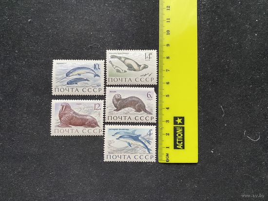Морские млекопитающие. 5 шт