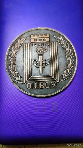 Настольная медаль ОШВСМ Гомель . Медь