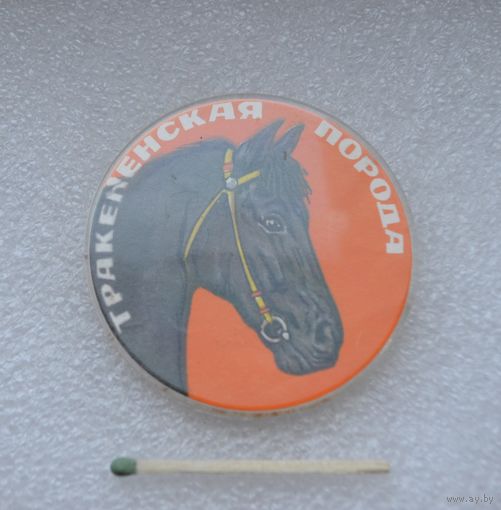 Тракененская порода.