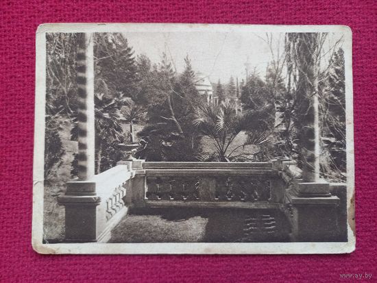 Сочи. Парк Сельскохозяйственной Опытной Станции. 30 г. Чистая.