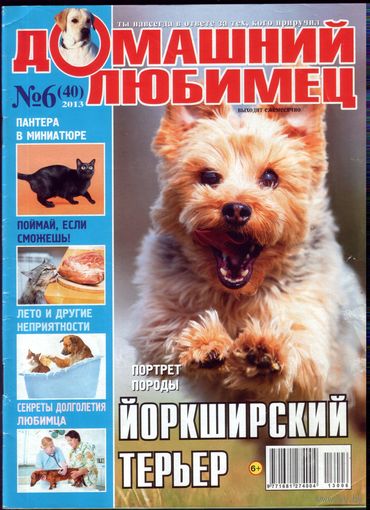 Домашний любимец #40