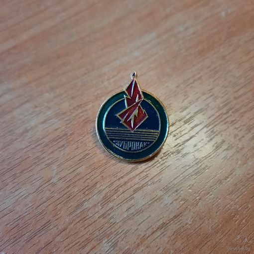 Значок "Пионерский лагерь "Зубренок"