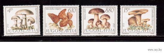 Югославия-1983 (Мих.1977-1980) , ** , Флора, Грибы (полная серия)