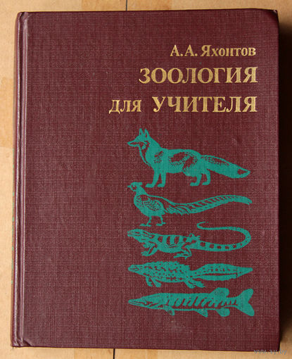 А. А. Яхонтов. Зоология для учителя: хордовые