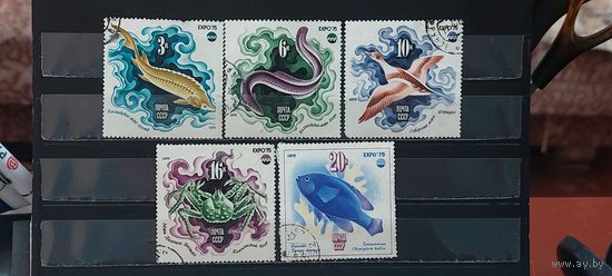РАСПРОДАЖА. СССР 1975г. Гаш.