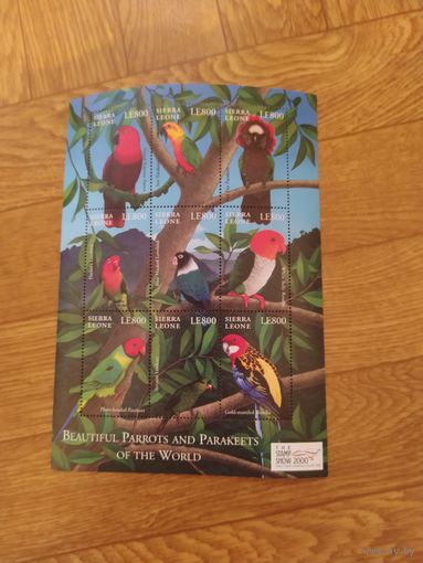 Сьерра Леоне малый лист 2000 г . Попугаи.