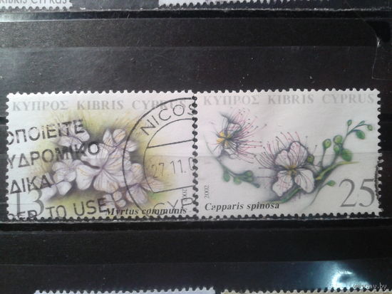 Кипр, 2002. Цветы
