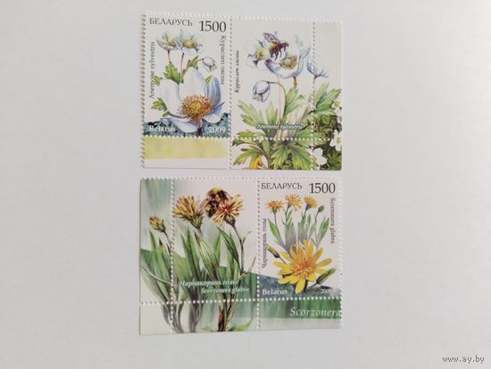 Беларусь 2009 2 м+2куп. цветы