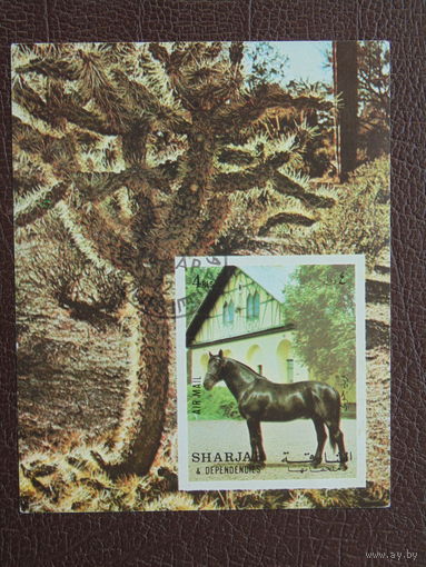 Шаржа 1972г. Фауна.