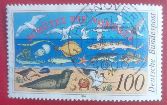 Германия, 1990 г., фауна Северного моря