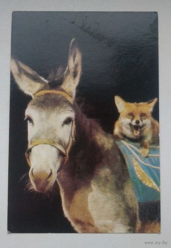 Календарик карманный. Цирк. 1985 год.