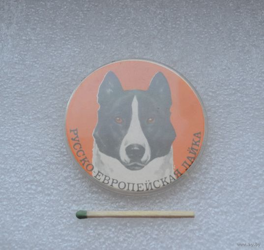 Русско-европейская лайка.