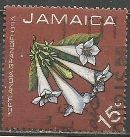 Ямайка. Цветы. Портландия крупная. 1973г. Mi#372.
