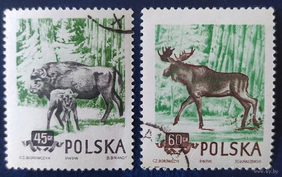 Польша 1954 лось, зубр, 2 из 4 , клей