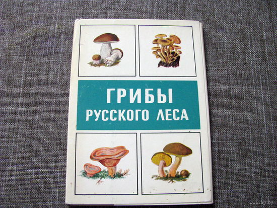 Грибы русского леса