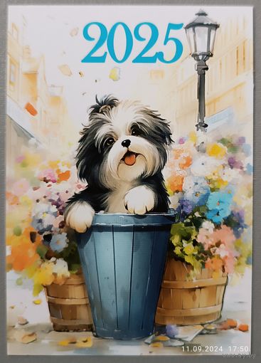 Собачка. Календарик, 2025