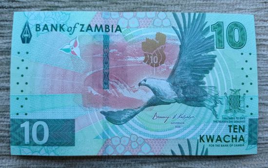Werty71 Замбия 10 квача 2024 (2025) UNC Банкнота