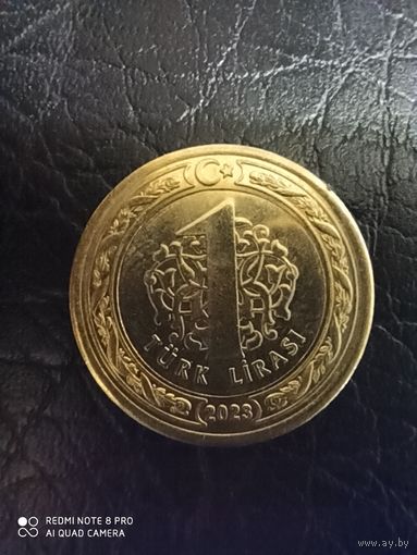 1 лира 2023, Турция