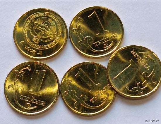 Киргизия. 1 тиин 2008 года. Мешковые.