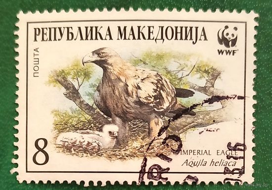 Македония 1 февраля 2001. Птицы. Могильник