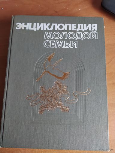 Энциклопедия молодой семьи (1987)