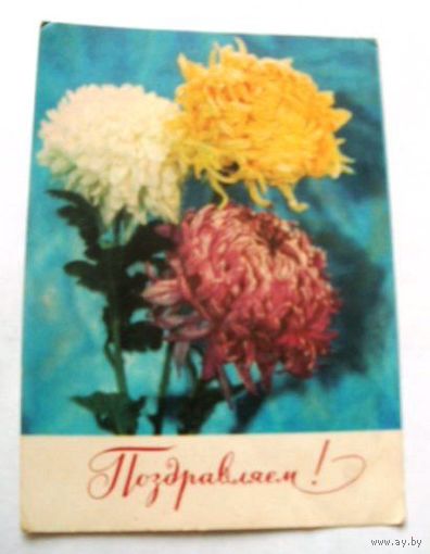 Открытка 1973 (73)